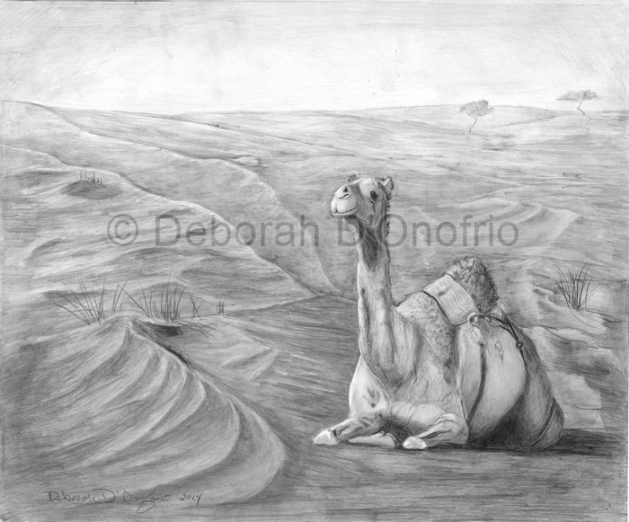 Portfolio_Camel Contemplting Emptiness