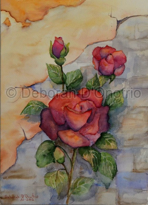 Portfolio_Roses Aunt Norma